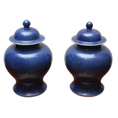 Antique Pair of Blue Chinese Jiaqing Temple jars with covers
