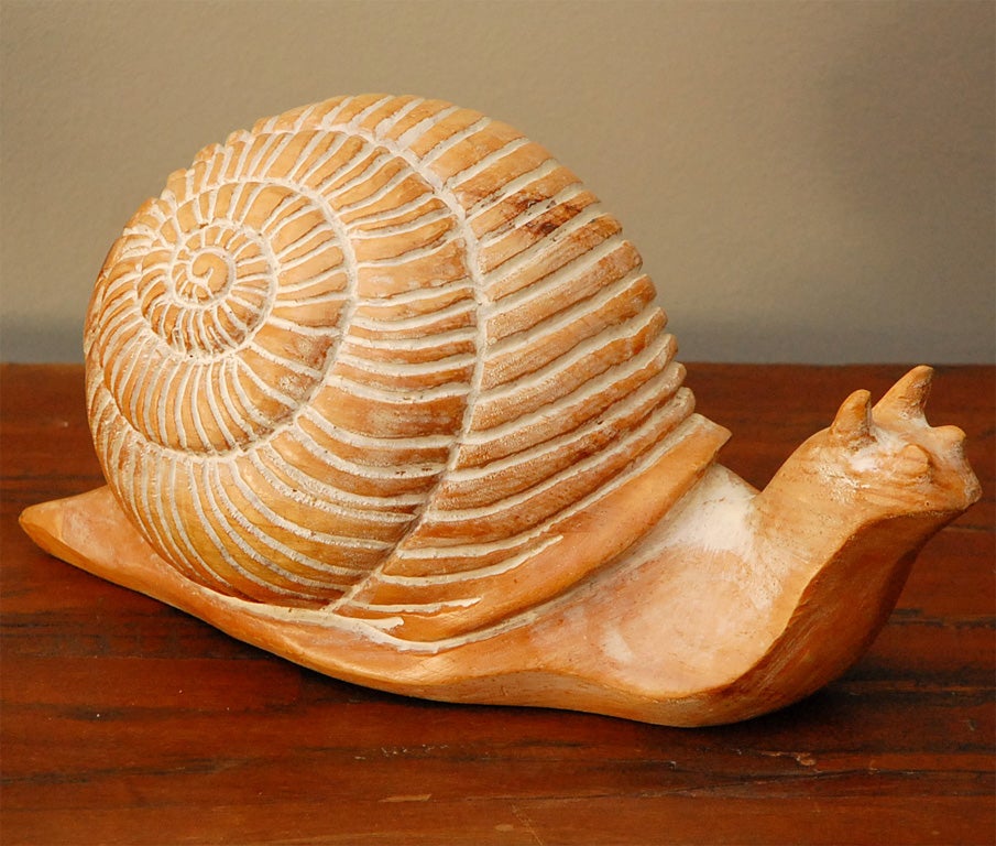 Cerused Wooden Snail