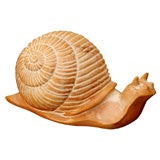 Cerused Wooden Snail