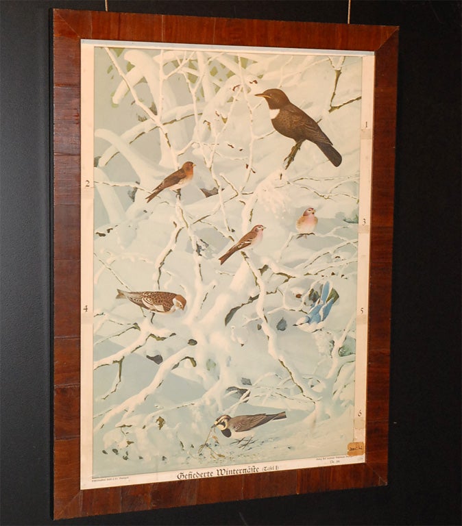 Winter Birds Antique Print II