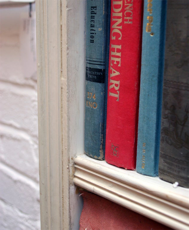 Pair of Book Shelf Doors 4