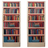 Pair of Book Shelf Doors