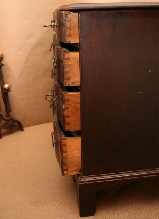 American Oxbow Front Chest of Drawers 1