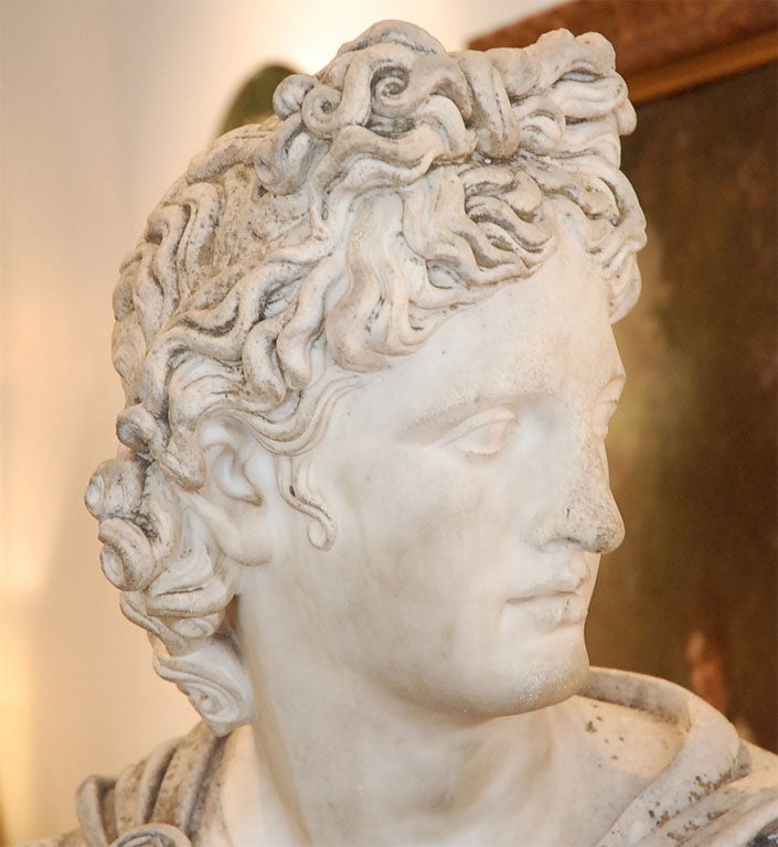 19th Century Marble bust of the Apollo of Belvedere, after the Antique