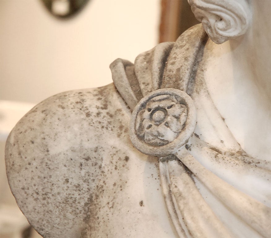 Marble bust of the Apollo of Belvedere, after the Antique 2
