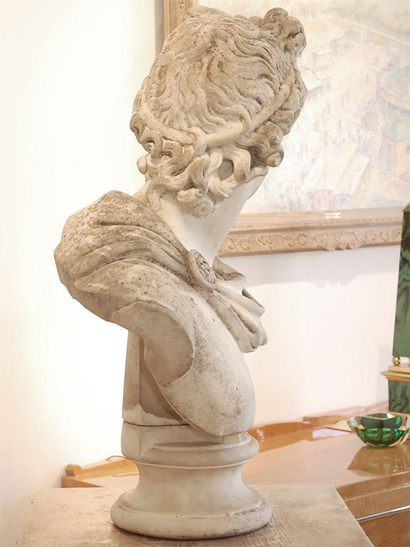 Marble bust of the Apollo of Belvedere, after the Antique 4