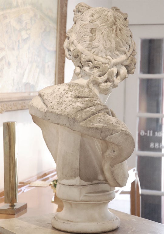 Marble bust of the Apollo of Belvedere, after the Antique 5
