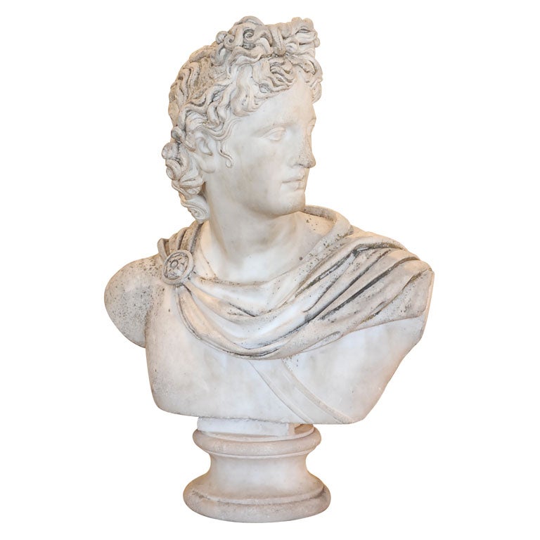 Marble bust of the Apollo of Belvedere, after the Antique