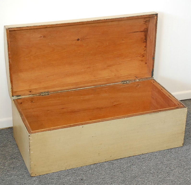 WONDERFUL 19THC ORIGINAL PAINTED DOME TOP TRUNK/BOX 3
