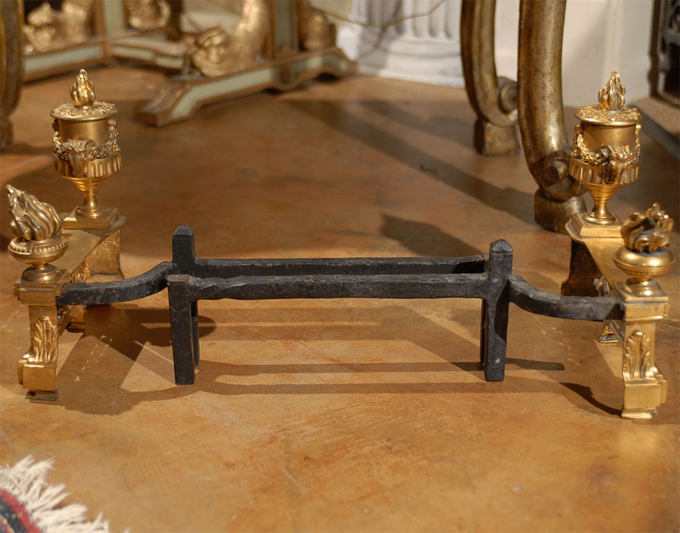Exquisite Pair of 19th c. French Dore Bronze Andirons For Sale 1
