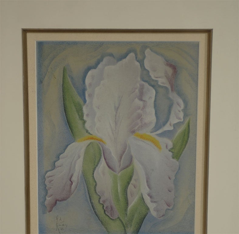 A watercolor and guache painting of an iris by listed American artist Ed Rudy; signed and dated in the lower left as noted in the photograph.  Rudy was known for his floral compositions, as well as his style of a close up view of his subject.  This