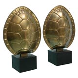 PAIR OF CHAPMAN TURTLE SHELL TABLE LAMPS