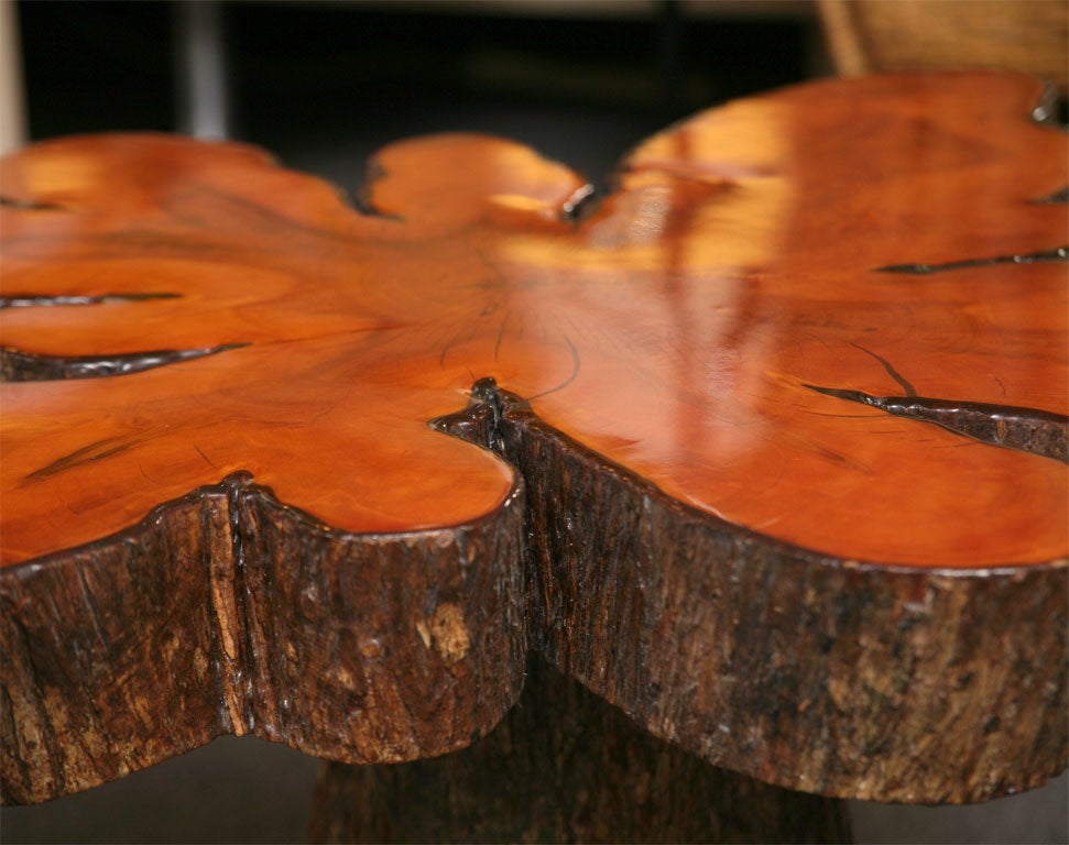 Mid-20th Century Rustic Cypress Tree Slab Table
