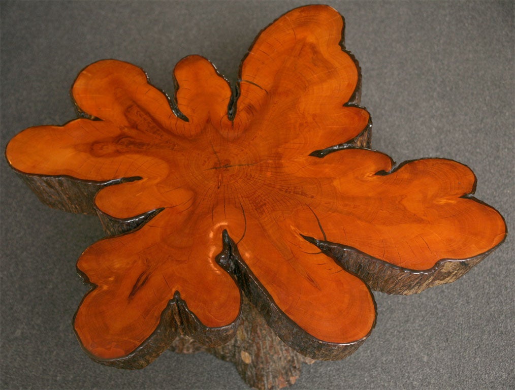 Rustic Cypress Tree Slab Table 1