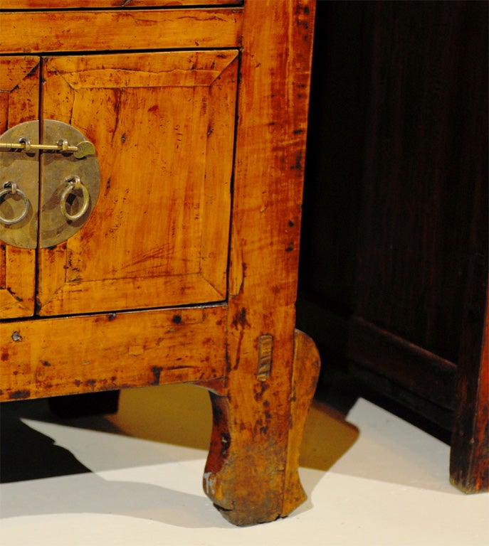 Large Gansu Cabinet from China 2