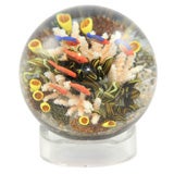 Cathy Richardson sea life paperweight