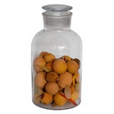 19THC GLASS APPOTHACARY JAR WITH  PAINTED CHALK FRUIT