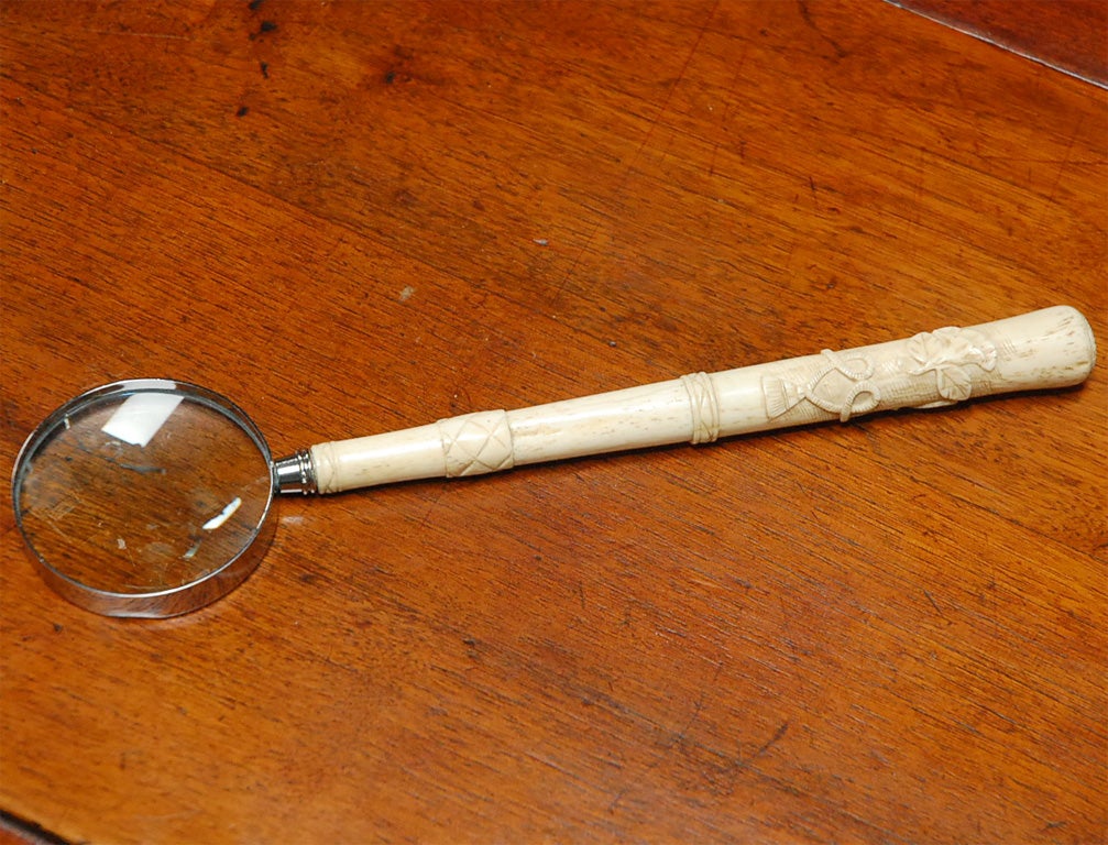 Magnified  glass bone handle