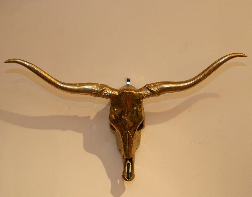 longhorn skull for sale