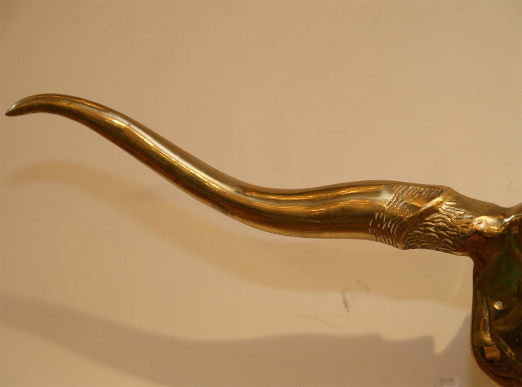 American Brass longhorn skull