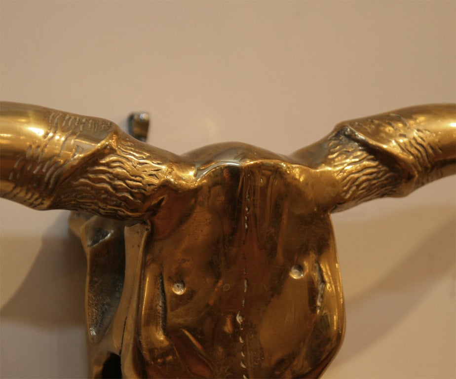 Brass longhorn skull 1