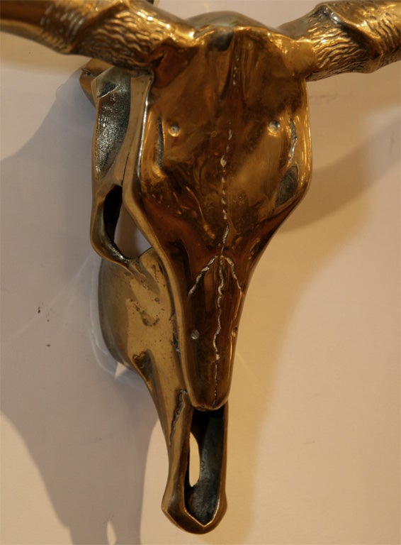 Brass longhorn skull 2