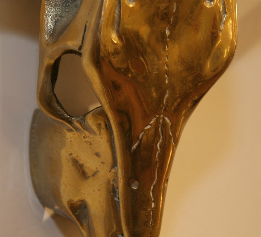 Brass longhorn skull 3