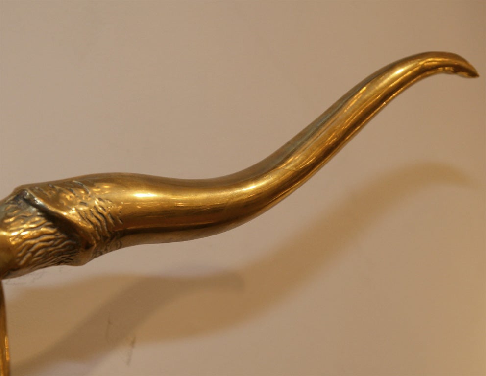 Brass longhorn skull 4