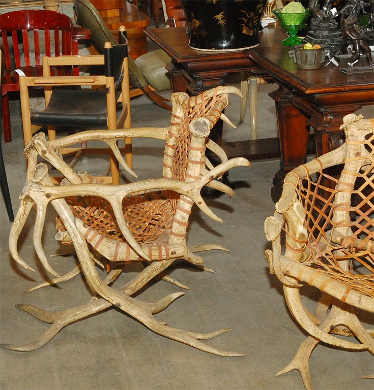 Antler armchairs with leather strappings For Sale 2