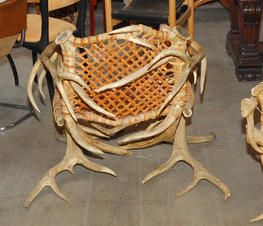 Antler armchairs with leather strappings For Sale 4