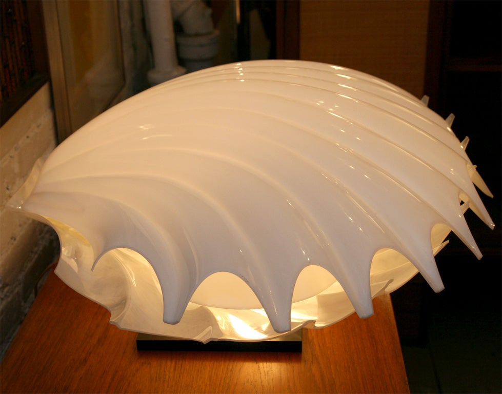 Acrylic Shell Lamp by Rougier
