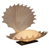 Shell Lamp by Rougier