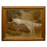 Oil Painting of sporting dog