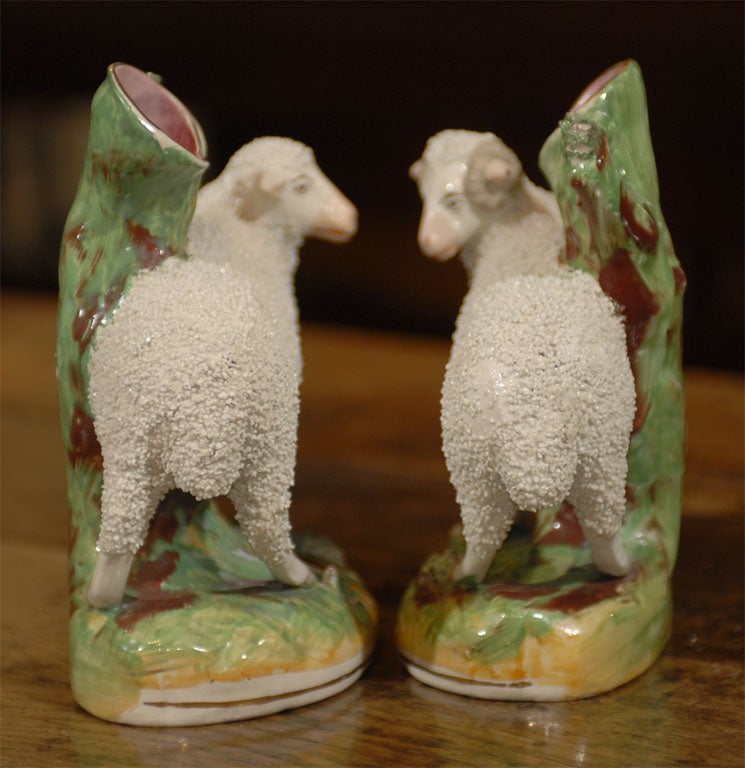 Large Pair of Staffordshire Sheep spills 2