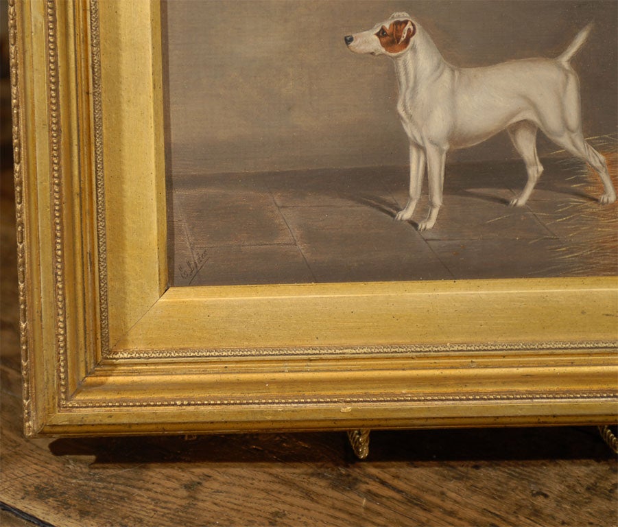 Oil Painting on canvas of a Terrier signed by E.Loder of Bath(1827-1885).in Antique frame