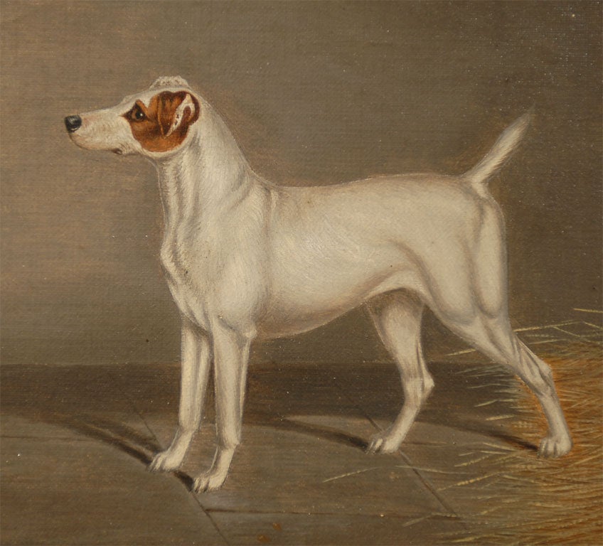 Terrier oil painting 3