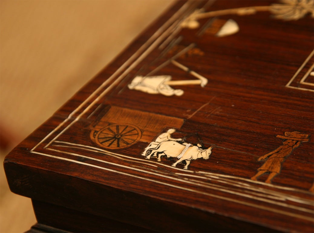 19th Century Anglo-Indian Ivory Inlaid Low Table 6