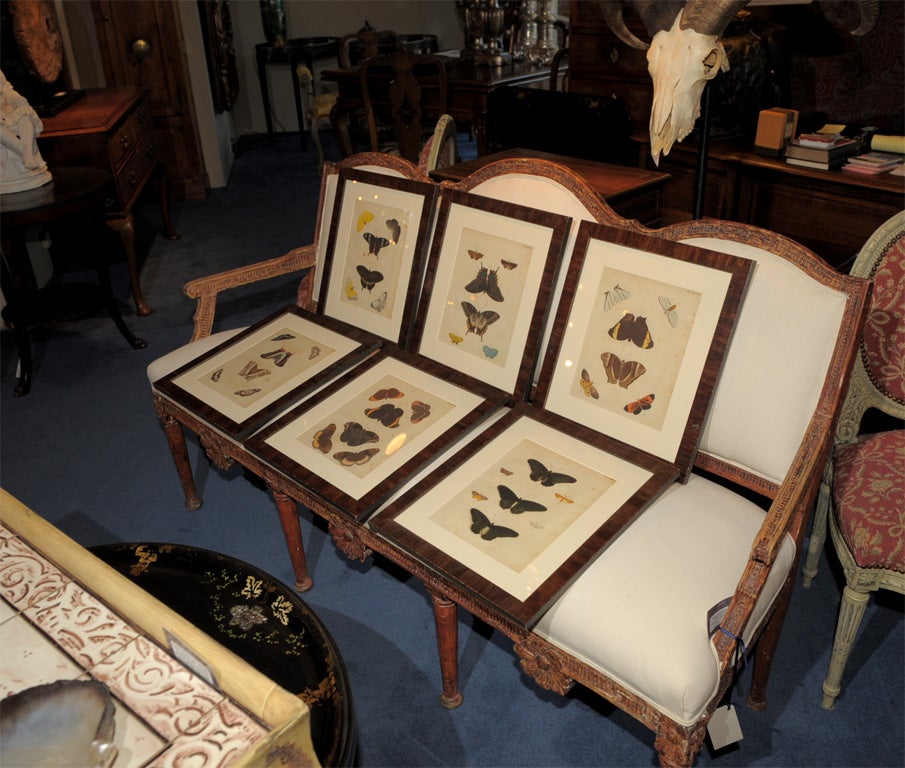 Set of Six Framed Hand Colored Dutch  Engravings