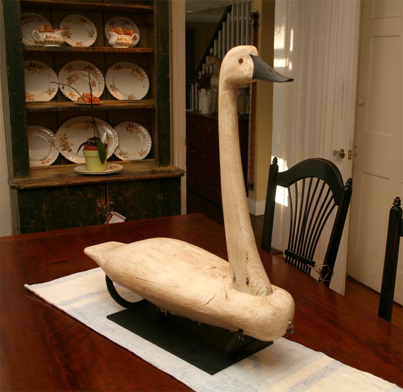 This very large and graceful wood carving is of a Currituck swan. It is a reproduction ,done by a famous wood carver, who makes pieces for the American Folk Art Museum.