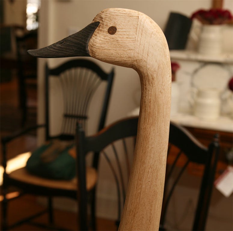 American Wood carved Swan