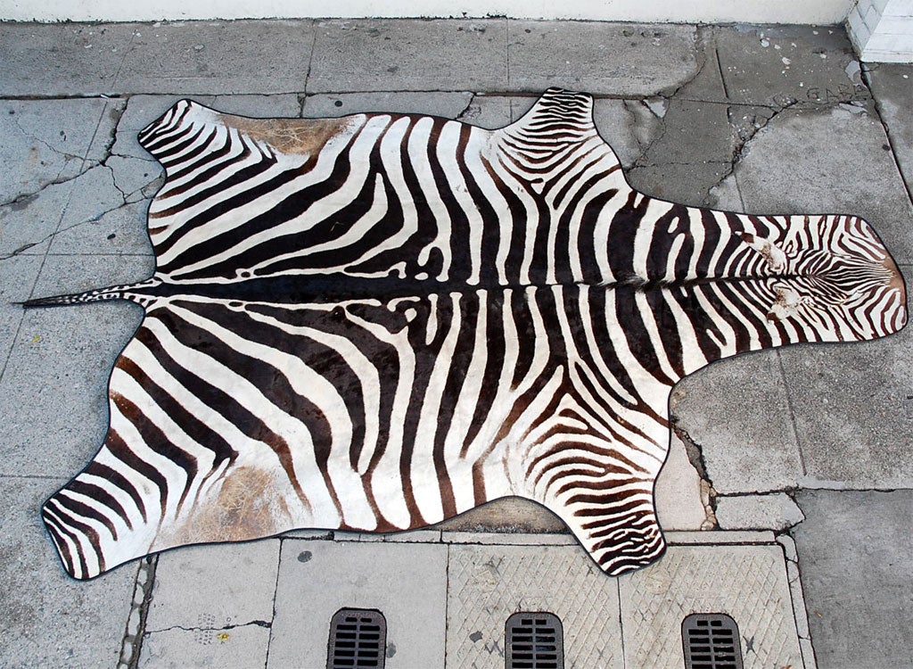 This is a Farm raced zebra rug, with a syntetic backing pad.