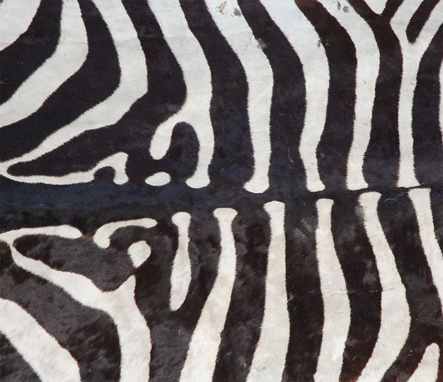 Leather Large  Zebra rug  with linen