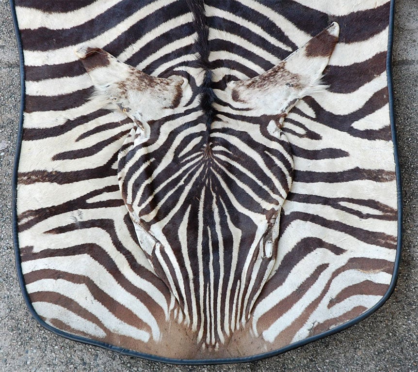 Large  Zebra rug  with linen 1