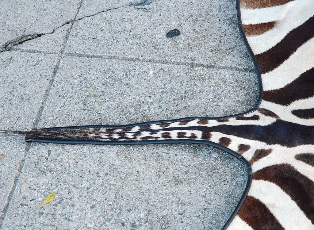 Large  Zebra rug  with linen 2
