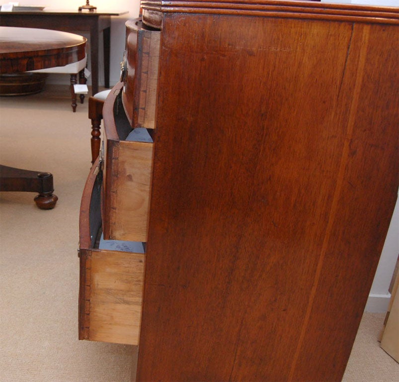 Early 19th Century Regency Bowfront Mahogany Chest For Sale 3