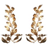 Pair of Italian Gilded Iron Candle Sconces
