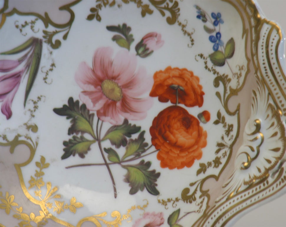 English Spode Porcelain Botanical Plates