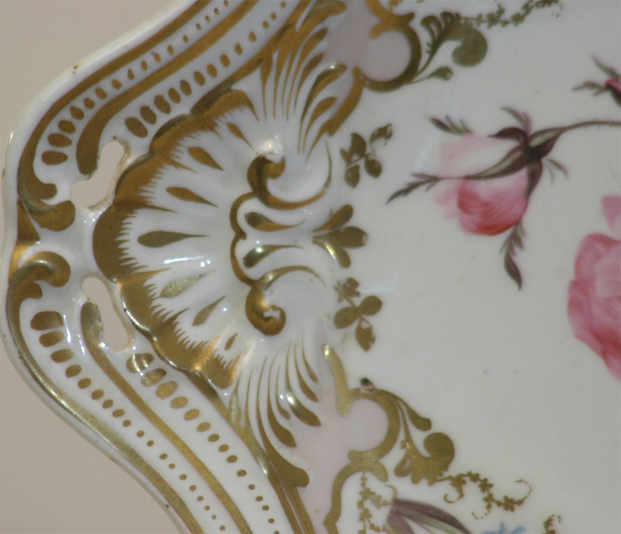 19th Century Spode Porcelain Botanical Plates