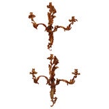 Pair antique French Louis XV style 3-light bronze d
ore sconces. Pair Antique French Louis XV style 3-light bronze d
ore sconces.
