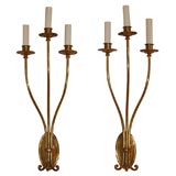 Pair Tall Brass 3 arm Sconces
